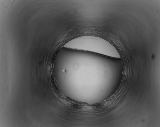 X0000100770332200806190939