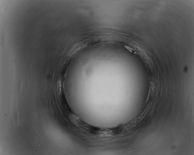 X0000100770333200806190939