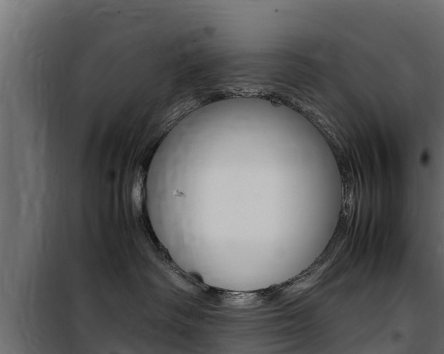 X0000100770334200806190939