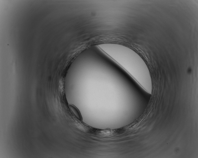 X0000100770335200806190939