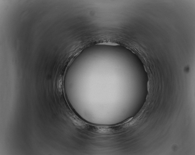 X0000100770336200806190938