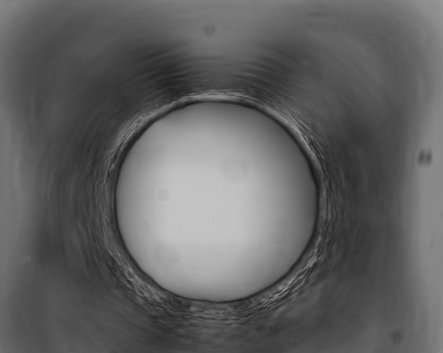 X0000100770337200806190938