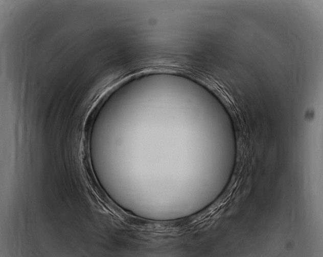 X0000100770338200806190938