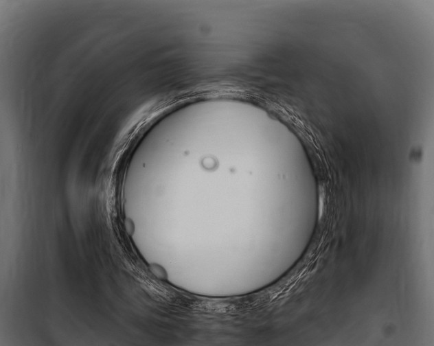 X0000100770339200806190938