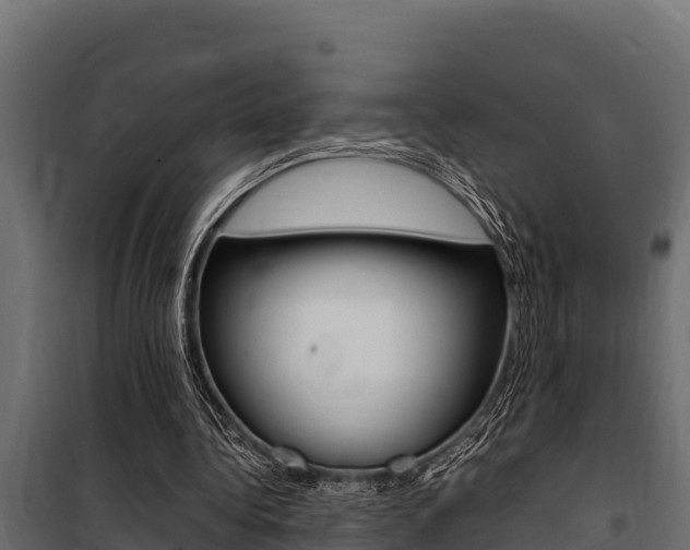 X0000100770340200806190938