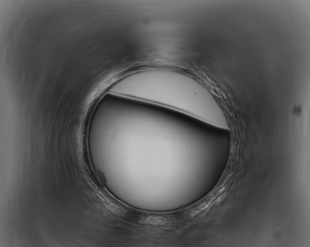 X0000100770341200806190938