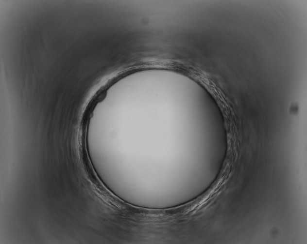 X0000100770342200806190938