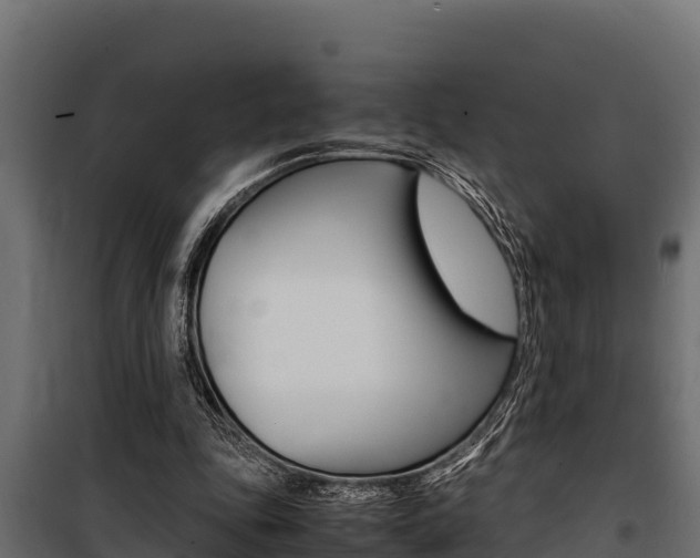 X0000100770343200806190938