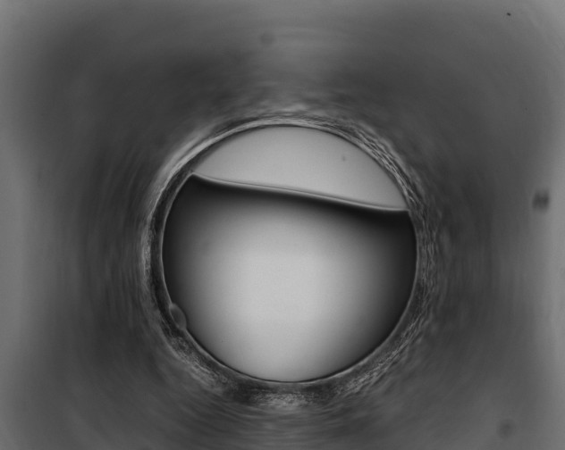 X0000100770344200806190938