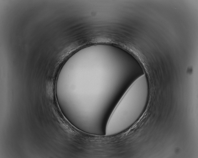 X0000100770345200806190938