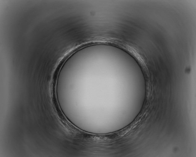 X0000100770346200806190938