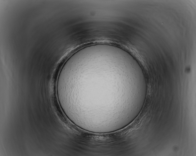 X0000100770347200806190938