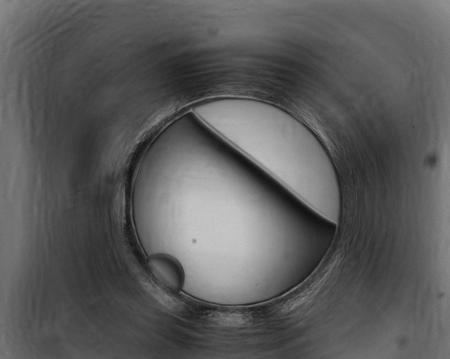 X0000100770349200806190938