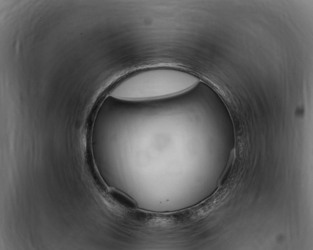 X0000100770350200806190938