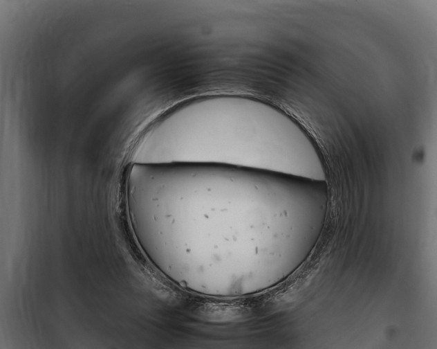 X0000100770351200806190938