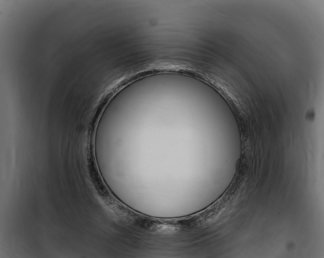 X0000100770352200806190938