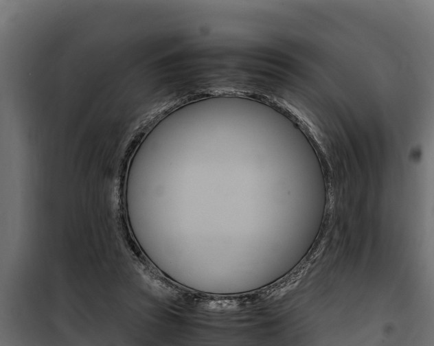 X0000100770353200806190938