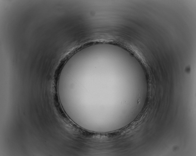 X0000100770354200806190938