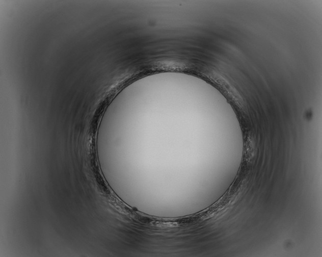 X0000100770355200806190938