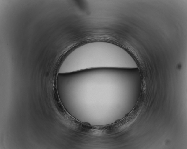 X0000100770356200806190938