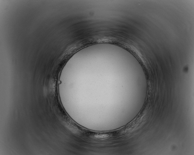 X0000100770357200806190938