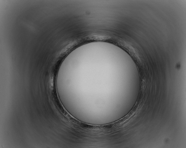 X0000100770358200806190938