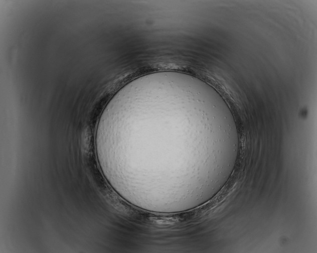 X0000100770359200806190938