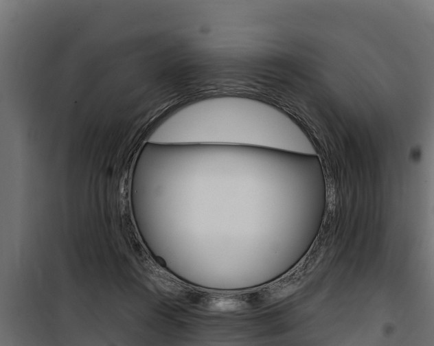 X0000100770360200806190938