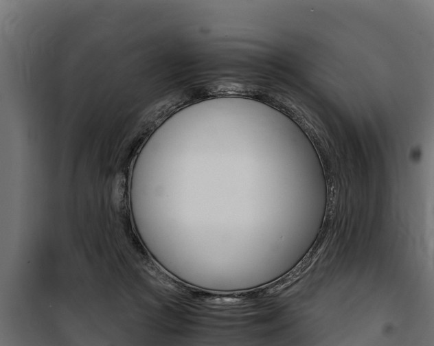 X0000100770361200806190938