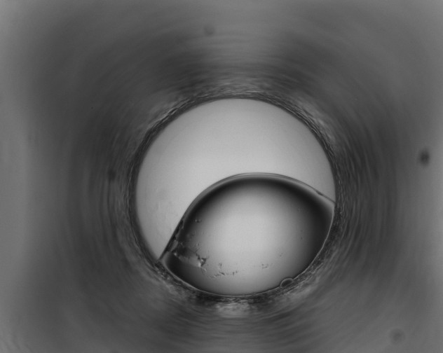 X0000100770362200806190938