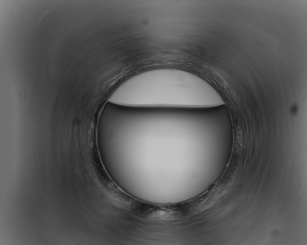 X0000100770364200806190938