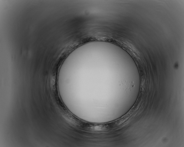 X0000100770365200806190938