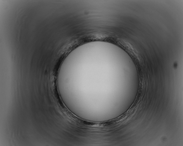 X0000100770366200806190938