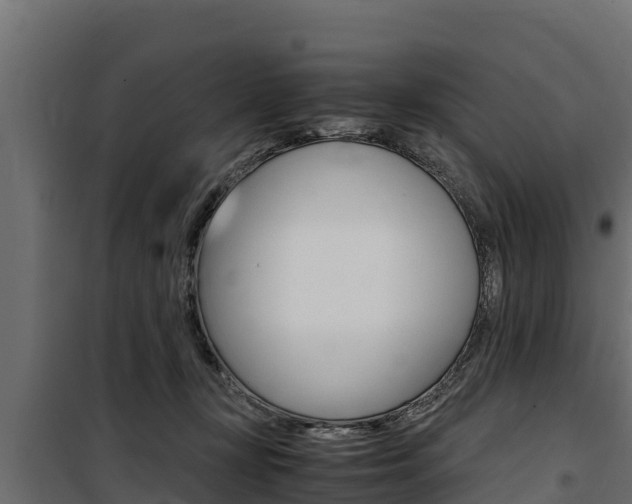 X0000100770367200806190938