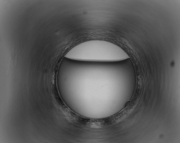 X0000100770368200806190938