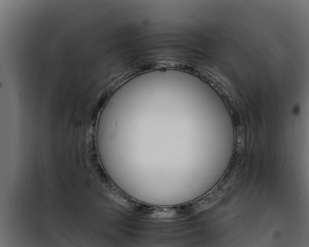 X0000100770369200806190938