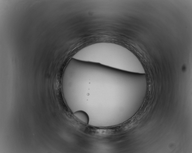 X0000100770371200806190938