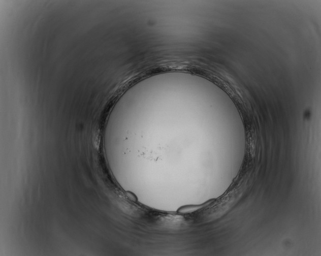 X0000100770374200806190938