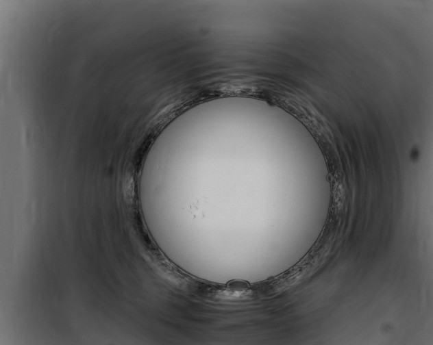 X0000100770375200806190938