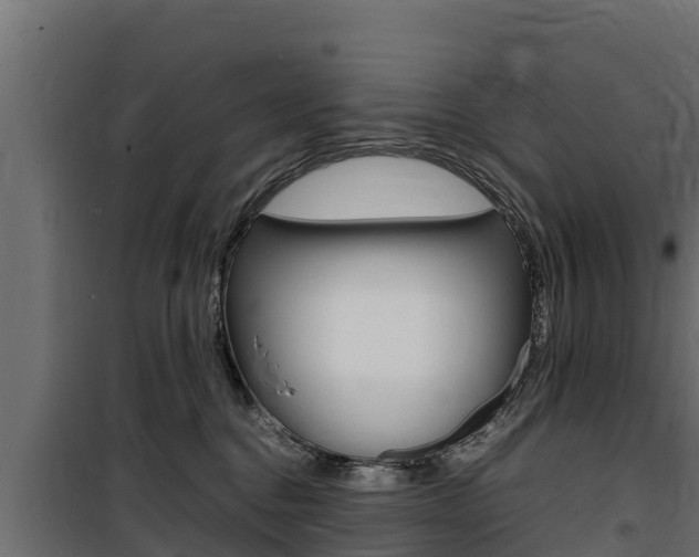 X0000100770376200806190938