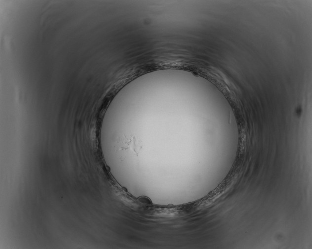 X0000100770377200806190938