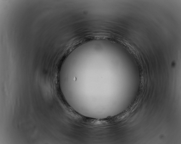 X0000100770379200806190938