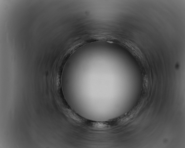 X0000100770380200806190938
