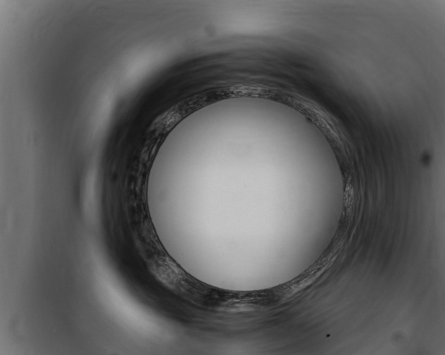 X0000100770381200806190938