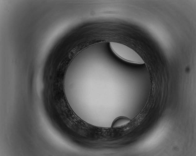 X0000100770383200806190938