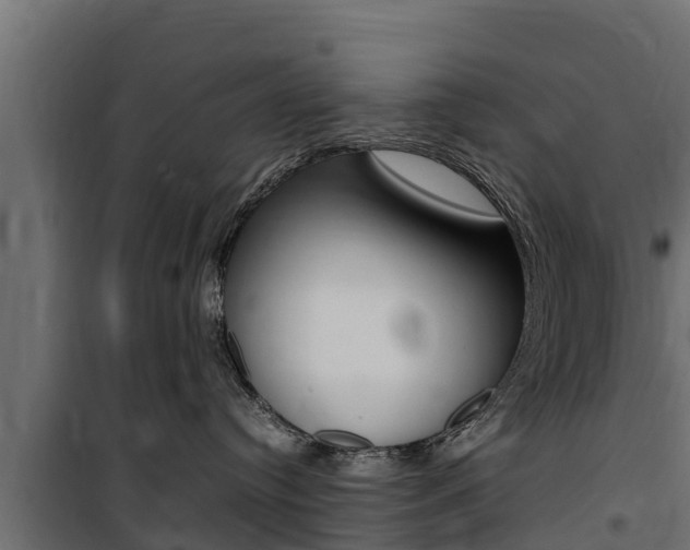 X0000100770384200806190938
