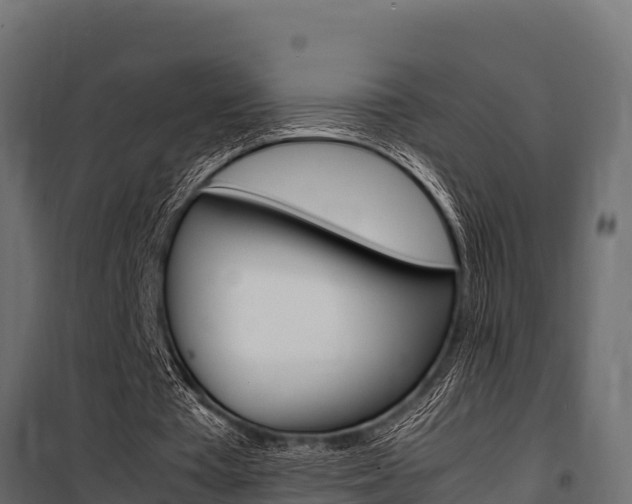 X0000100770385200806190938