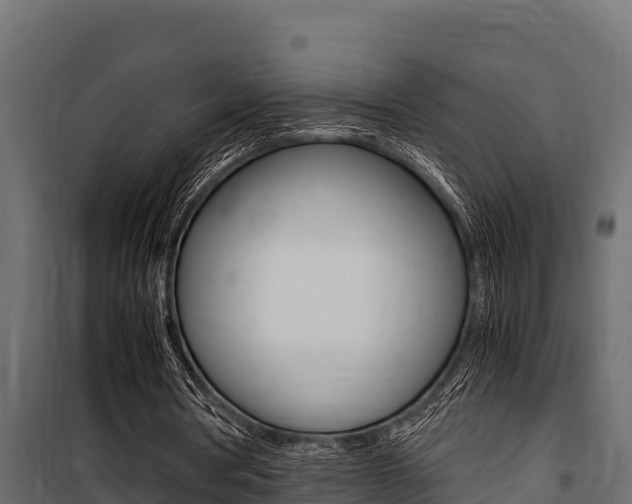 X0000100770386200806190938