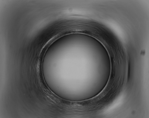 X0000100770387200806190938