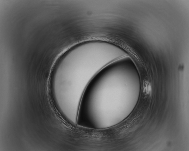X0000100770388200806190938